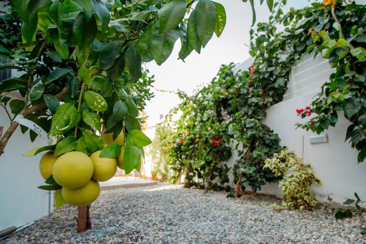 Island Home Seaside Villa Paralímni Extérieur photo